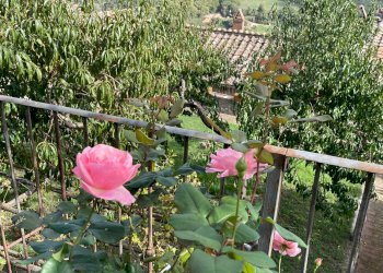 Foto 60 - Stabile - Palazzo Amelia - foto 60