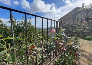 Foto 61 - Stabile - Palazzo Amelia - foto 61