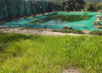 Foto 15 - Villa Amelia - photo 15