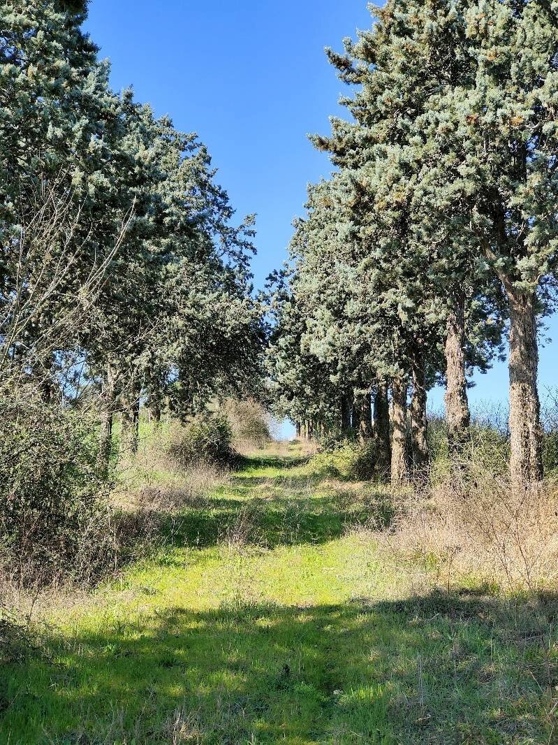 Foto 3 - Rustico Amelia - foto 3