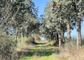 Foto 3 - Rustico Amelia - foto 3