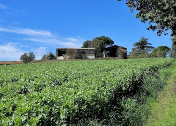 Foto 5 - Rustico Amelia - foto 5