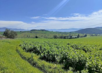 Foto 13 - Rustico Amelia - foto 13