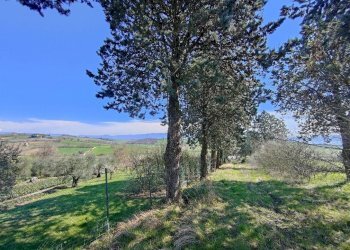 Foto 17 - Rustico Amelia - foto 17