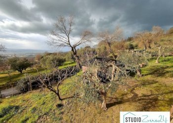 Foto 7 - Quadrilocale Giove - foto 7