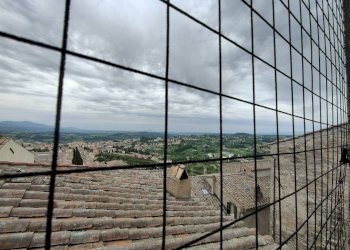 Foto 6 - Trilocale Amelia - foto 6