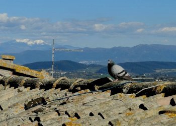 Foto 8 - Four-room apartment RIMEMBRNZE
 
22, Amelia - photo 8