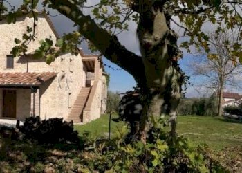 Foto 2 - Appartamento Avigliano Umbro - foto 2