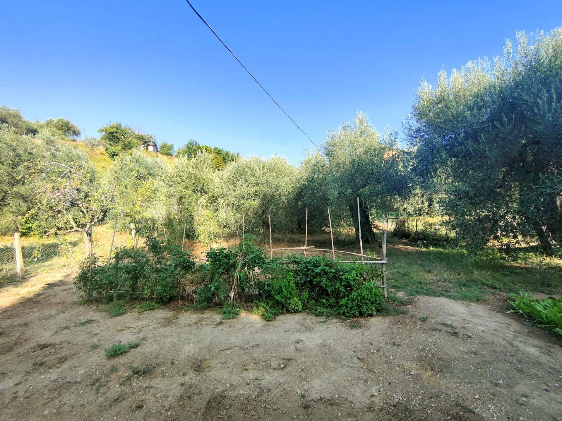 Foto 3 - Agricultural land via rimembranze
 
22, Amelia - photo 3