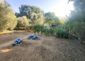 Foto 2 - Agricultural land via rimembranze
 
22, Amelia - photo 2