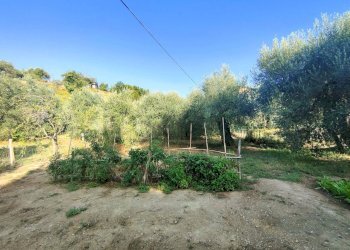 Foto 3 - Agricultural land via rimembranze
 
22, Amelia - photo 3