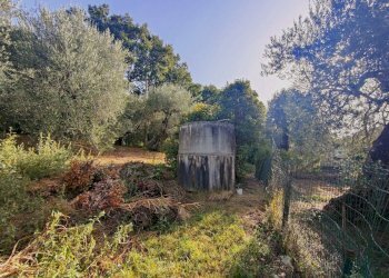 Foto 4 - Agricultural land via rimembranze
 
22, Amelia - photo 4