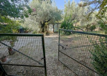 Foto 5 - Agricultural land via rimembranze
 
22, Amelia - photo 5