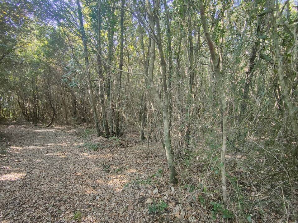 Foto 1 - Agricultural land rimembranze
 
22, Amelia - photo 1