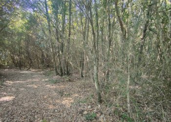 Foto 1 - Agricultural land rimembranze
 
22, Amelia - photo 1