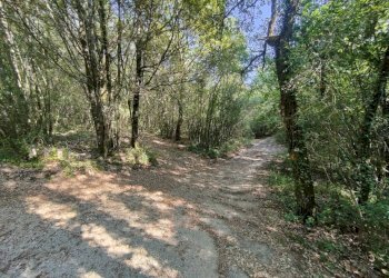 Foto 2 - Agricultural land rimembranze
 
22, Amelia - photo 2