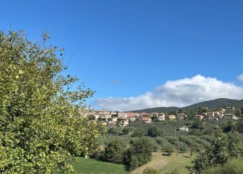 Foto 9 - Independent house Montecchio - photo 9