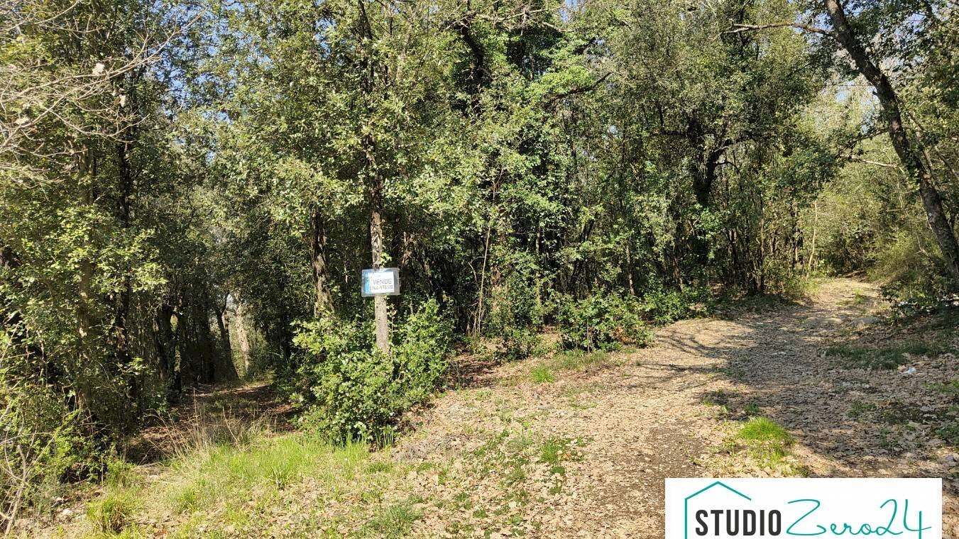 Foto 2 - Agricultural land rimembranze, Amelia - photo 2