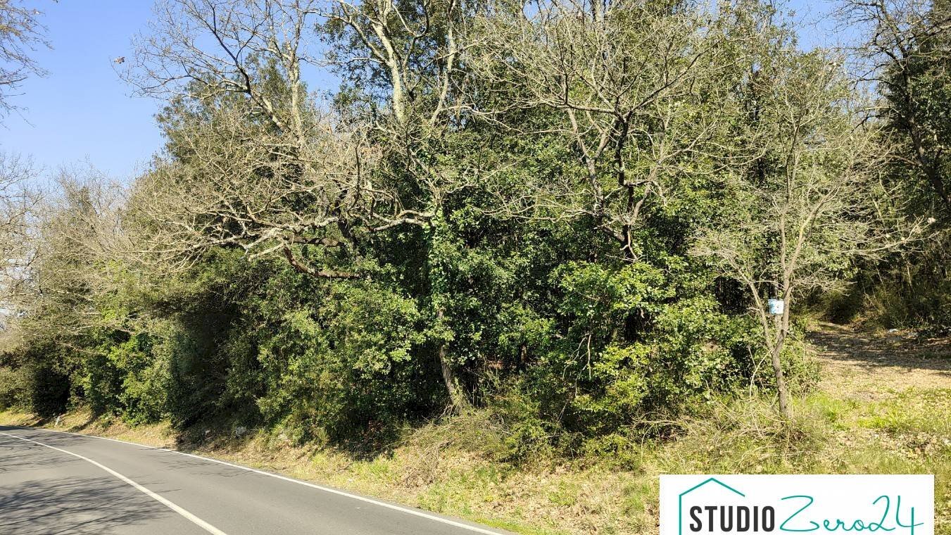 Foto 3 - Agricultural land rimembranze, Amelia - photo 3