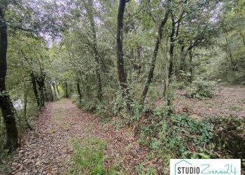 Foto 2 - Agricultural land rimembranze, Amelia - photo 2