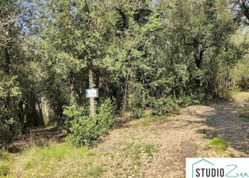 Foto 2 - Agricultural land rimembranze, Amelia - photo 2