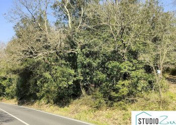 Foto 3 - Agricultural land rimembranze, Amelia - photo 3