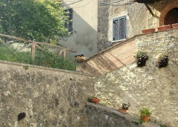 Foto 2 - Trilocale Amelia - foto 2