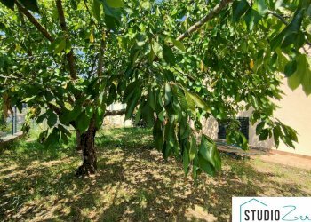 Foto 6 - Casa semi indipendente Amelia - foto 6