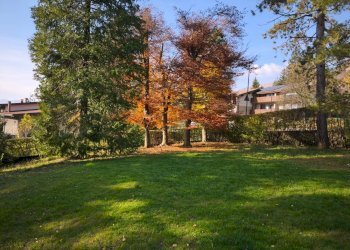 Foto 12 - Trilocale via provinciale
 
78, Castione della Presolana - foto 12