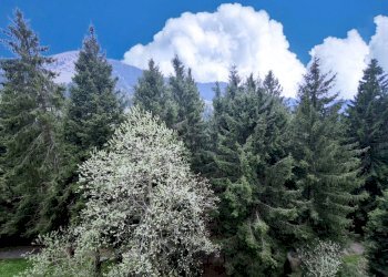 Foto 14 - Monolocale Località Colle Vareno, Angolo Terme - foto 14