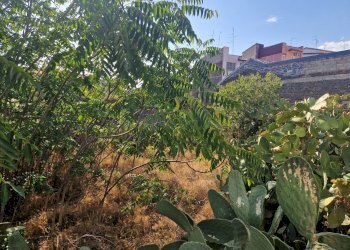 Foto 23 - Casa indipendente via Vitaliti
 
52, Catania - foto 22