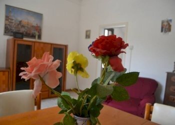 Foto 36 - Villa a Schiera via confine inferiore
 
125, Molinella - foto 36