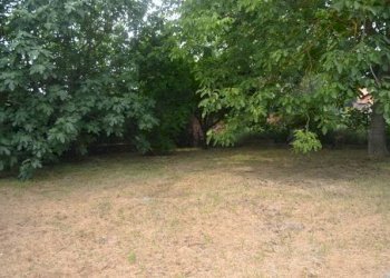 Foto 47 - Villa a Schiera via confine inferiore
 
125, Molinella - foto 47