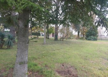 Foto 6 - Villa via Ghiaroni
 
6, Molinella - photo 6