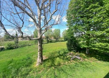 Foto 35 - Villa via Ghiaroni
 
6, Molinella - photo 35