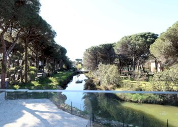 Foto 34 - Trilocale Vittorio Veneto, Cervia - foto 34