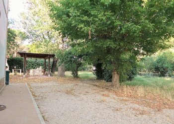 giardino - Villa Ponte della Vecchia, Cervia - foto 5