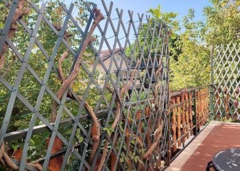 terrazzo - Appartamento Monte Nero
 
8, Cervia - foto 13