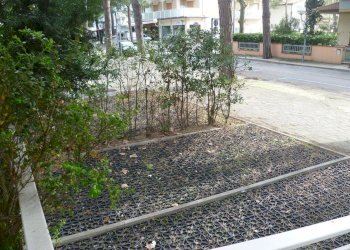 Foto 4 - Bilocale Dante Alighieri
 
6, Cervia - foto 4