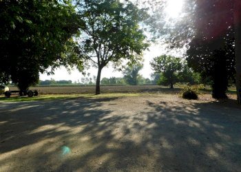 giardino - Casa semi indipendente Matelica
 
96, Cervia - foto 16