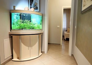 Foto 16 - Quadrilocale Ravenna - foto 16