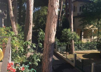 Foto 1 - Appartamento via corridoni
 
5, Cervia - foto 1