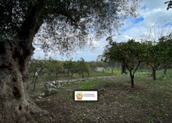 terreno - Terreno edificabile Principe Amedeo
62, Canicattini Bagni - foto 11