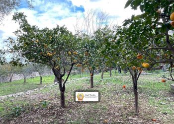 terreno - Terreno edificabile Principe Amedeo
62, Canicattini Bagni - foto 12