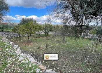 terreno - Terreno edificabile Principe Amedeo
62, Canicattini Bagni - foto 13