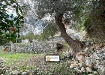 terreno - Terreno edificabile Principe Amedeo
62, Canicattini Bagni - foto 14