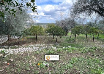 terreno - Terreno edificabile Principe Amedeo
62, Canicattini Bagni - foto 16