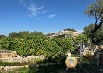 Foto 12 - Rustico contrada Tradituso
 
snc, Noto - foto 12