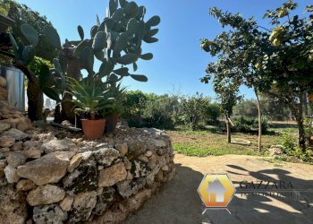 Foto 16 - Rustico contrada Tradituso
 
snc, Noto - foto 16