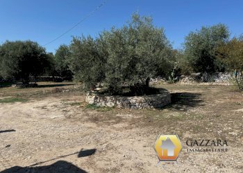 Foto 72 - Rustico contrada Tradituso
 
snc, Noto - foto 72